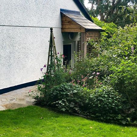 فيلا Primrose End بود المظهر الخارجي الصورة
